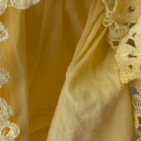 Abercrombie & Fitch Golden Yellow Lace Floral Camisole - Picture 5 of 6